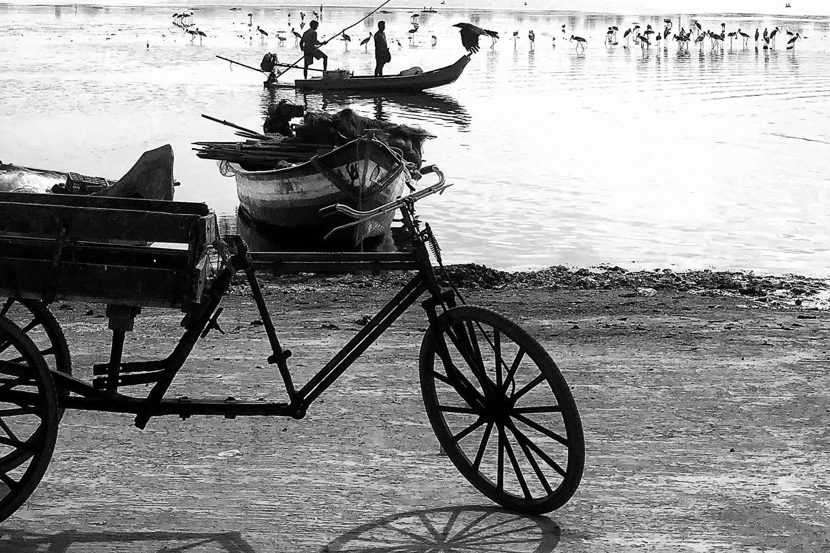 166 | Tamil Nadu 2019